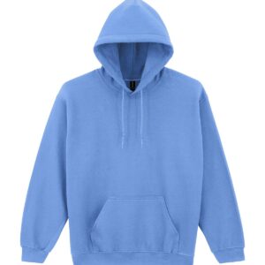 Heavy Blend hooded sweatshirt GD057