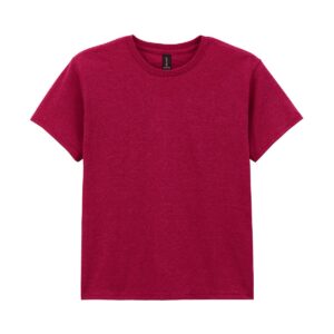 Heavy Cotton™ youth t-shirt GD05B